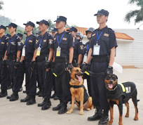 警犬護衛服務