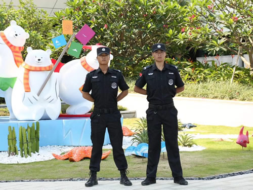 長安標致雪鐵龍項目