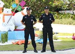 長安標致雪鐵龍項目